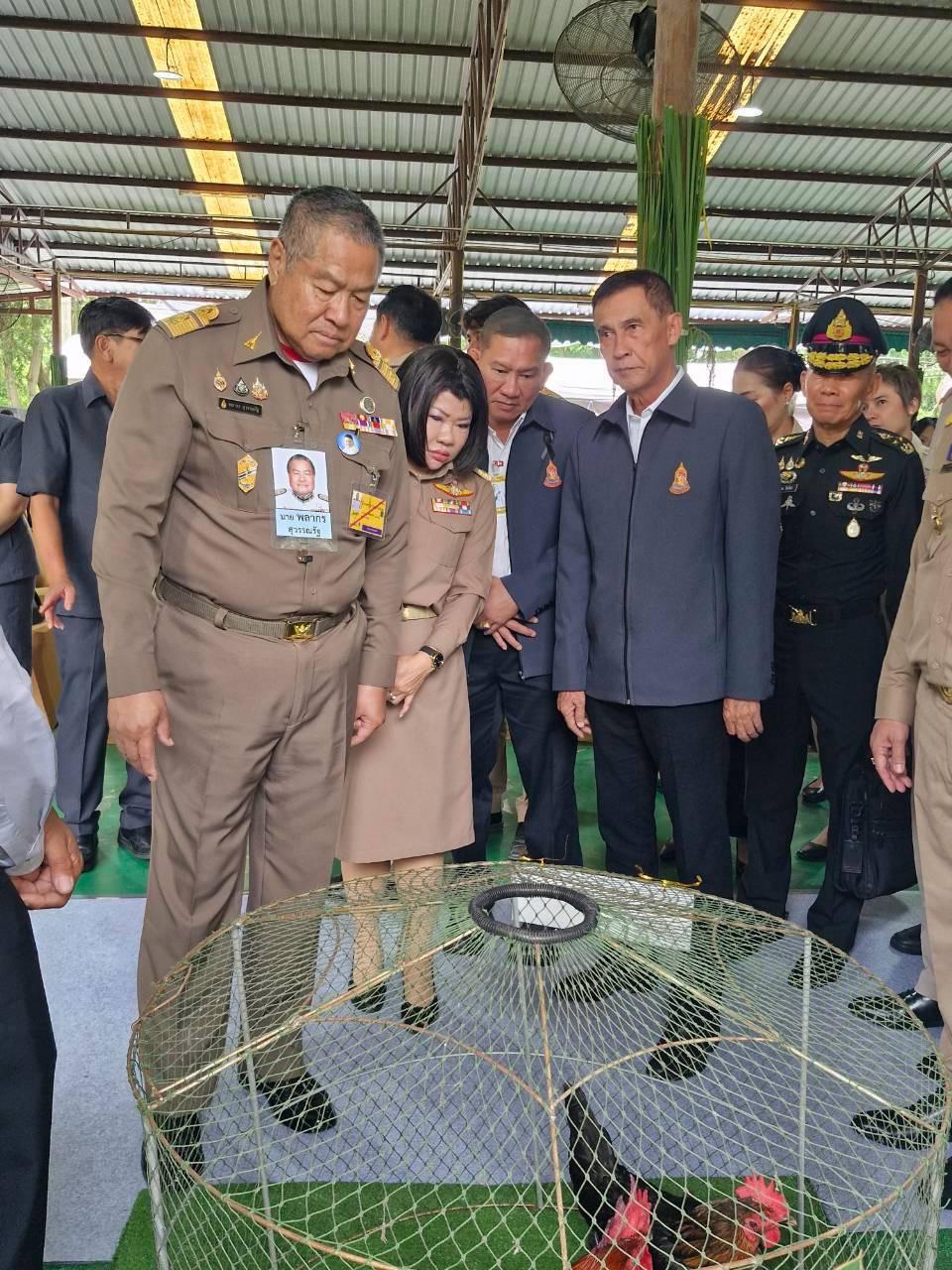 ภาพประกอบที่ 7
