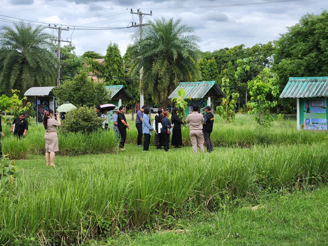 ภาพประกอบที่ 24