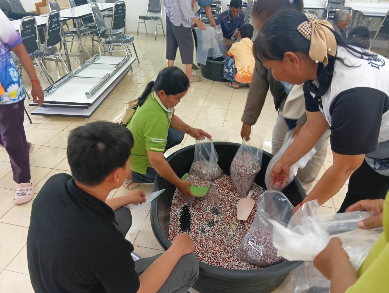 ภาพประกอบที่ 11