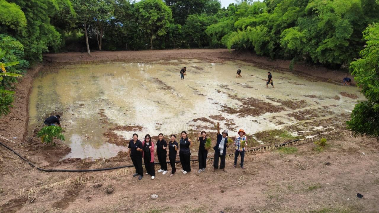ภาพประกอบที่ 19