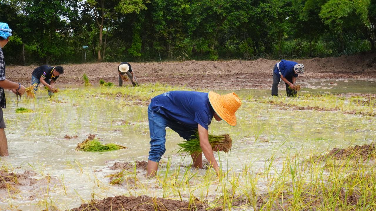 ภาพประกอบที่ 10