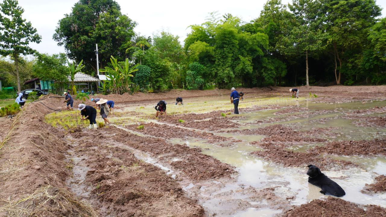 ภาพประกอบที่ 9