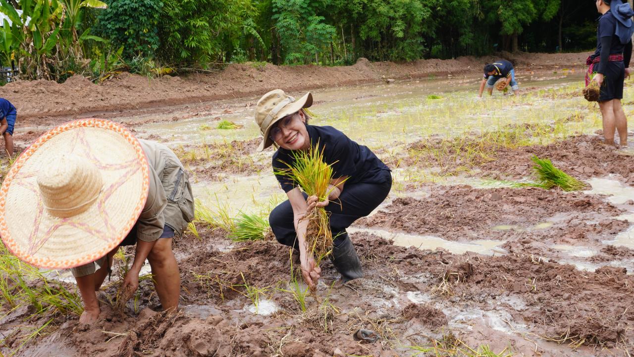 ภาพประกอบที่ 1