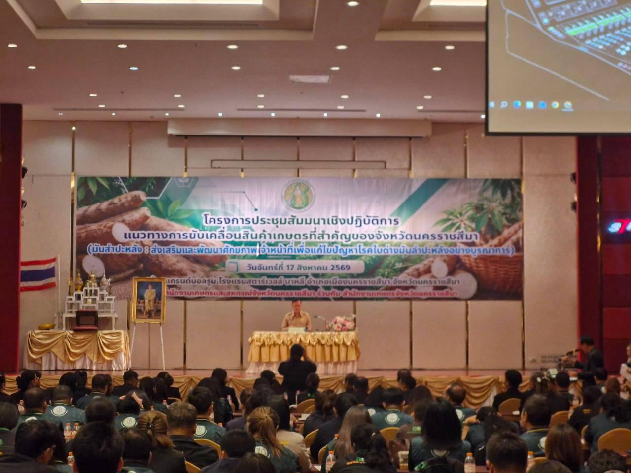 ภาพประกอบที่ 8