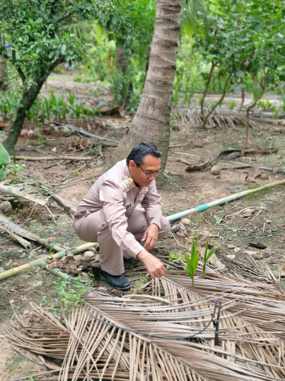 ภาพประกอบที่ 16