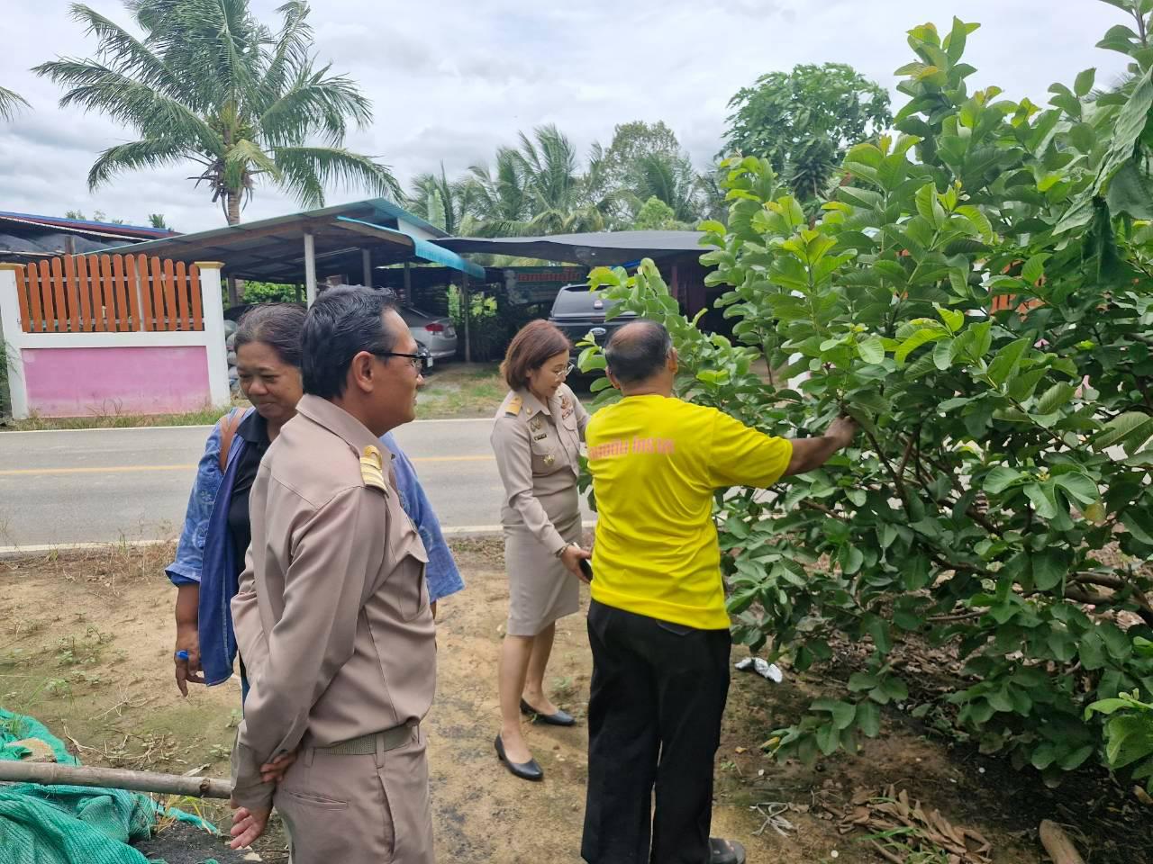ภาพประกอบที่ 20