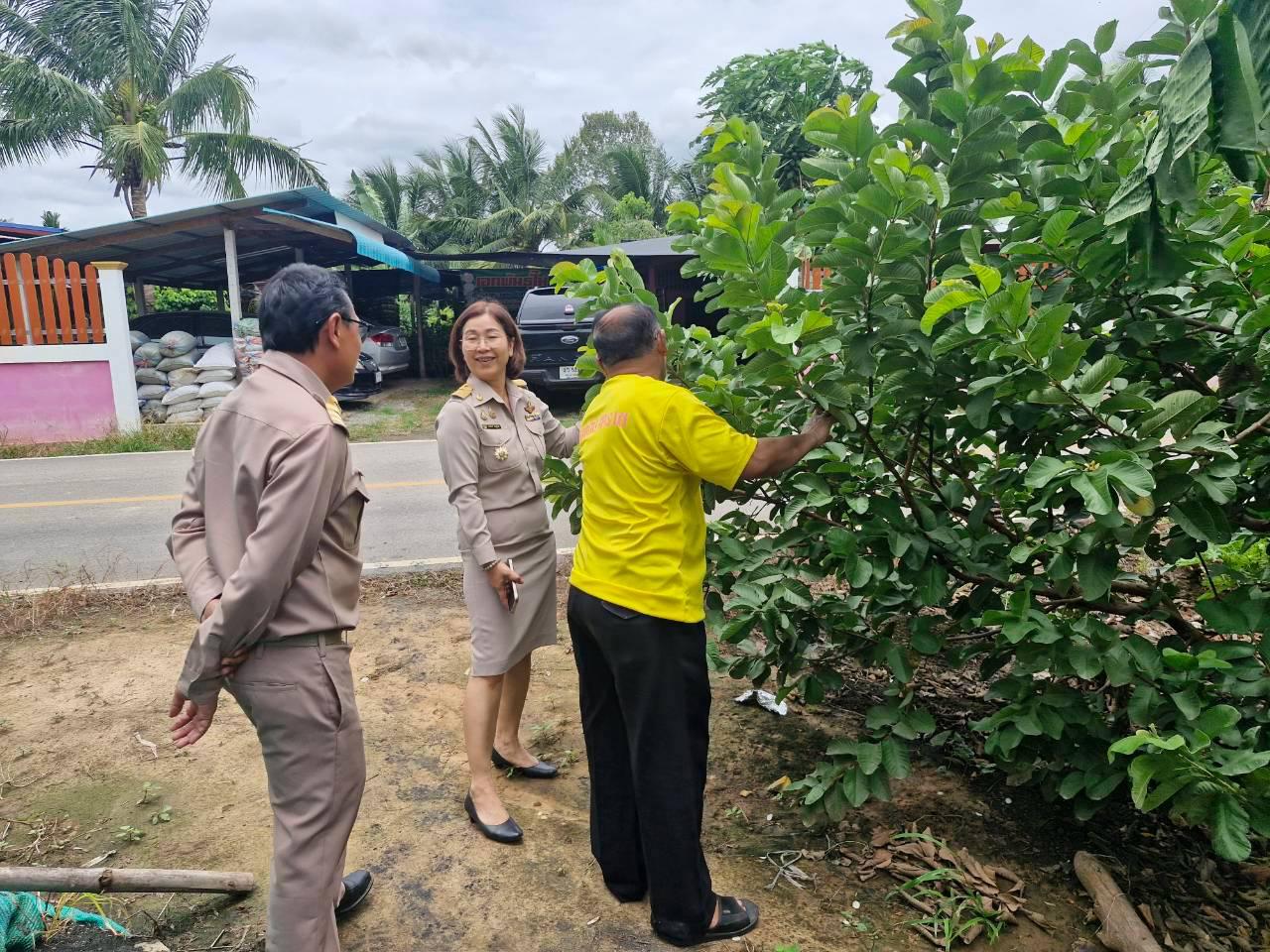ภาพประกอบที่ 24