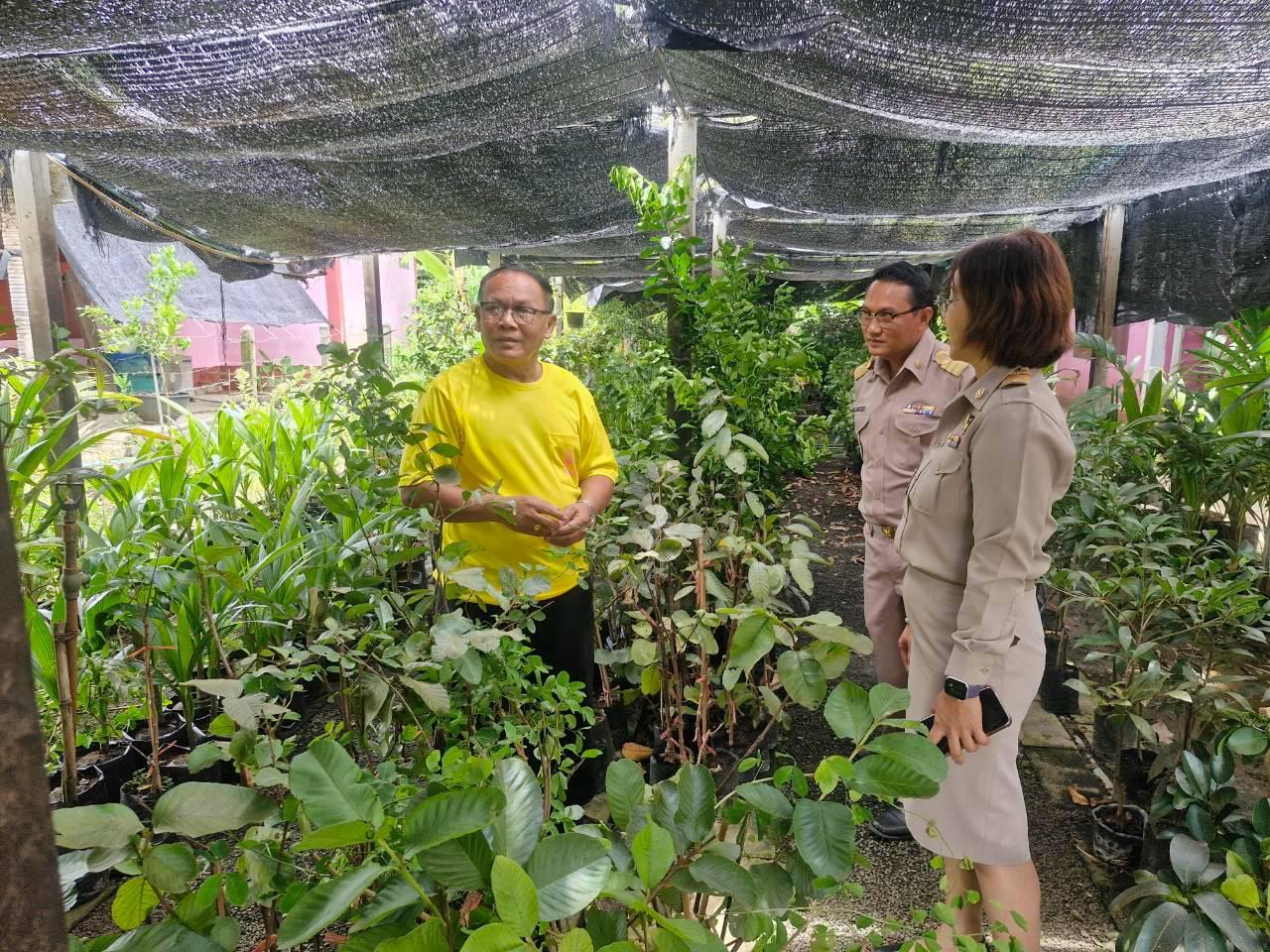 ภาพประกอบที่ 32