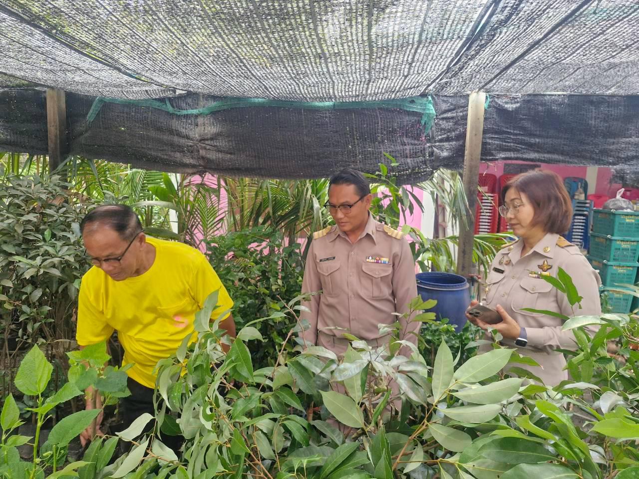 ภาพประกอบที่ 35