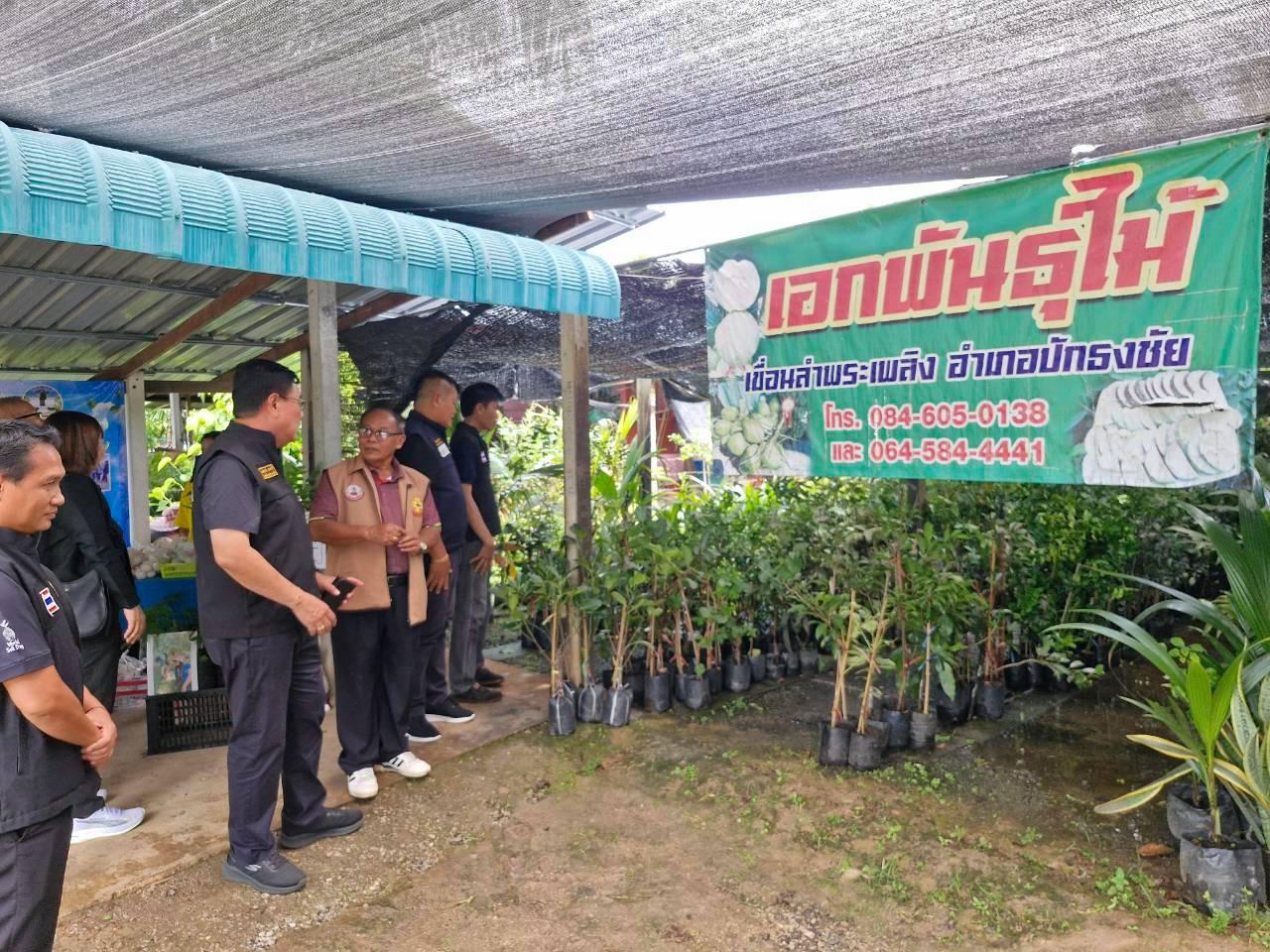 ภาพประกอบที่ 31