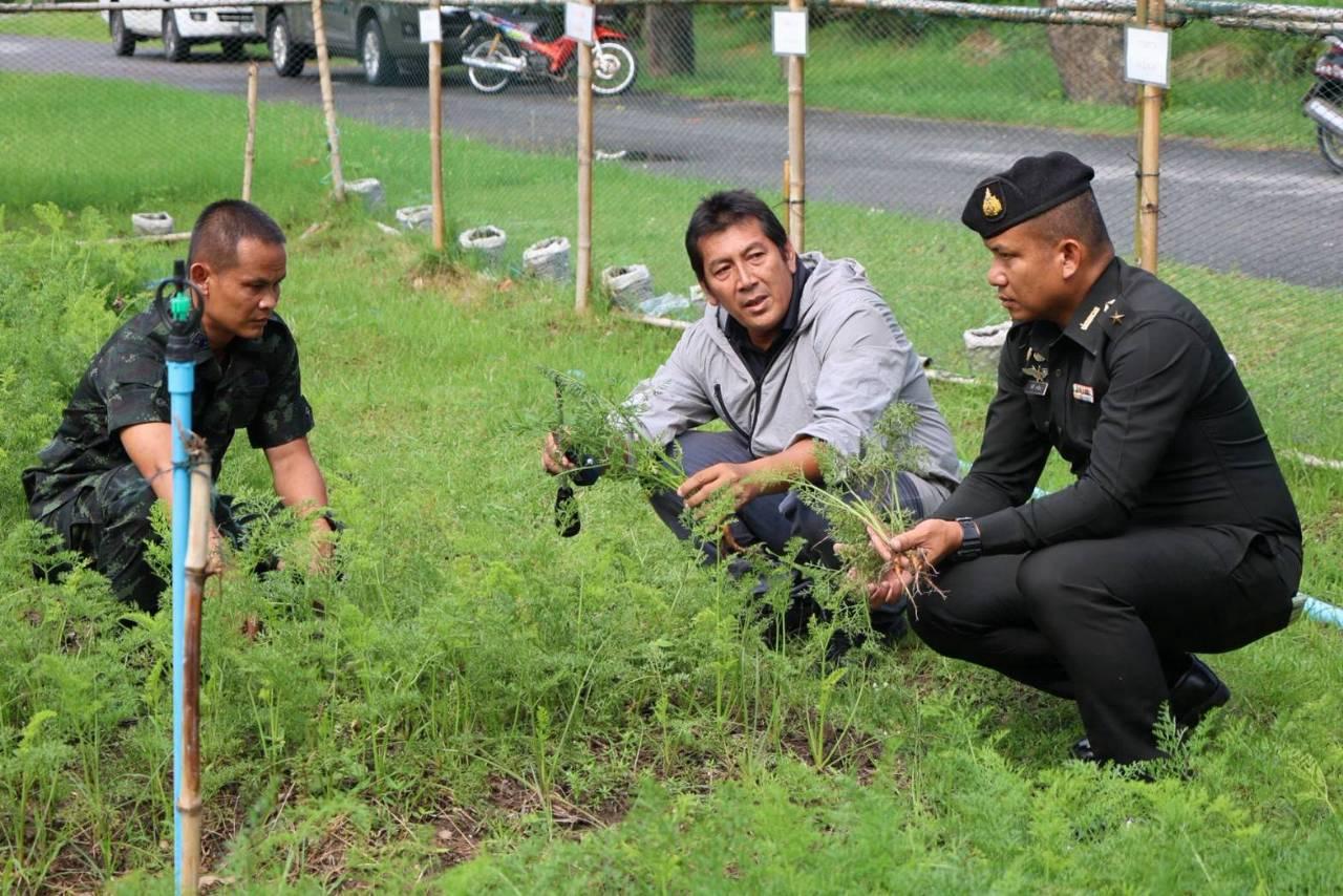ภาพประกอบที่ 1