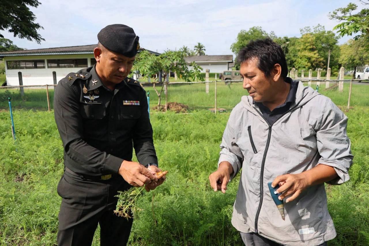 ภาพประกอบที่ 2