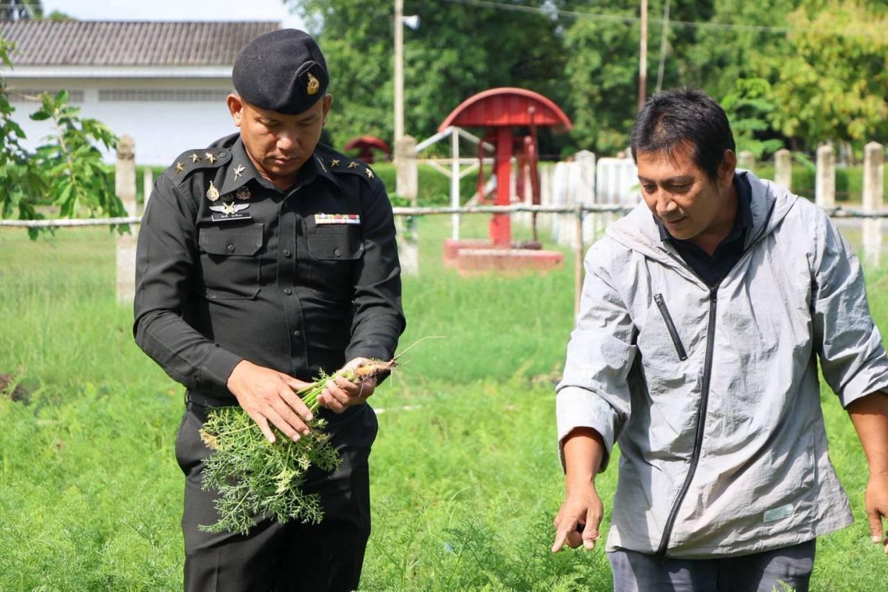 ภาพประกอบที่ 3