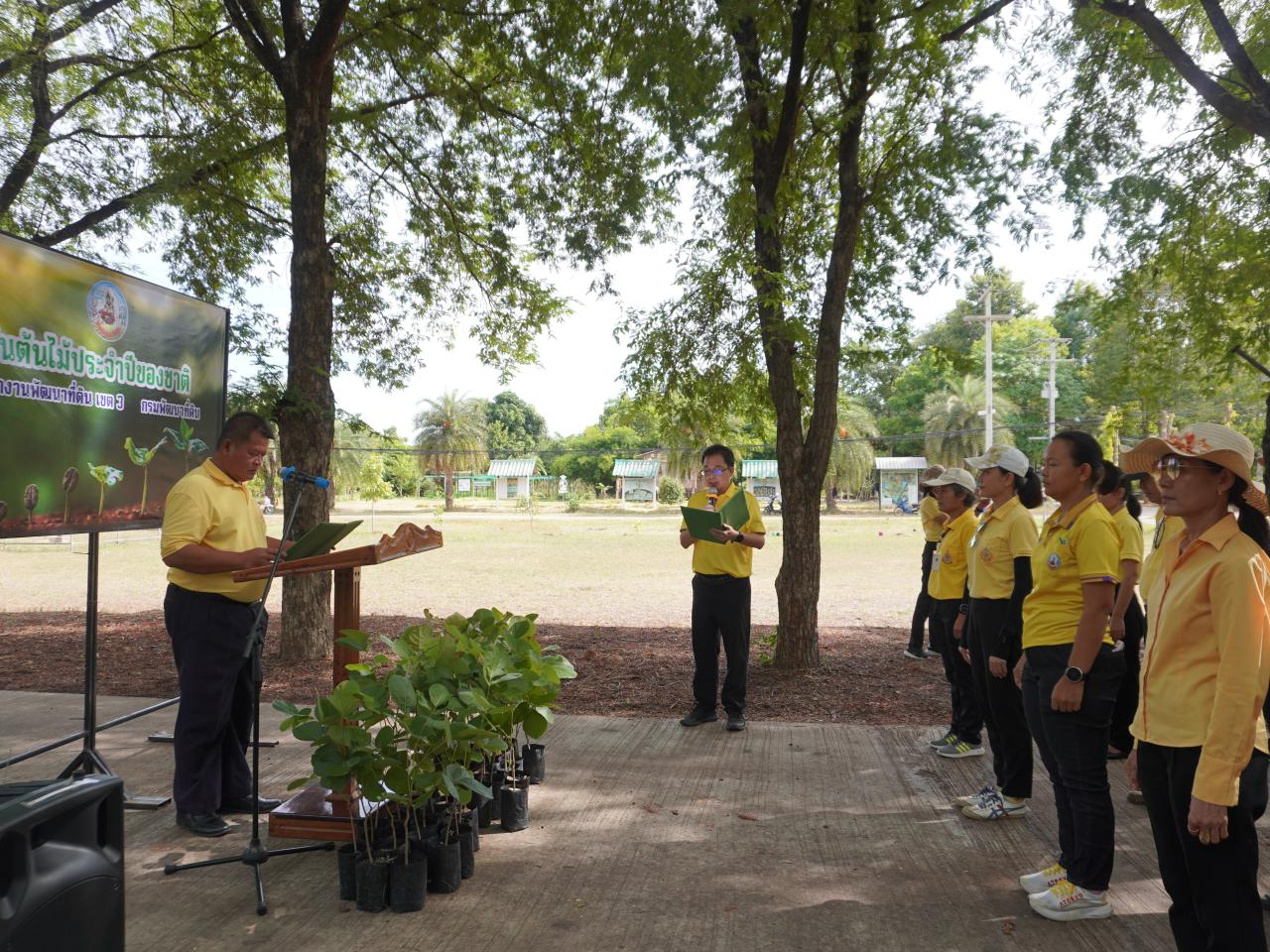 ภาพประกอบที่ 11