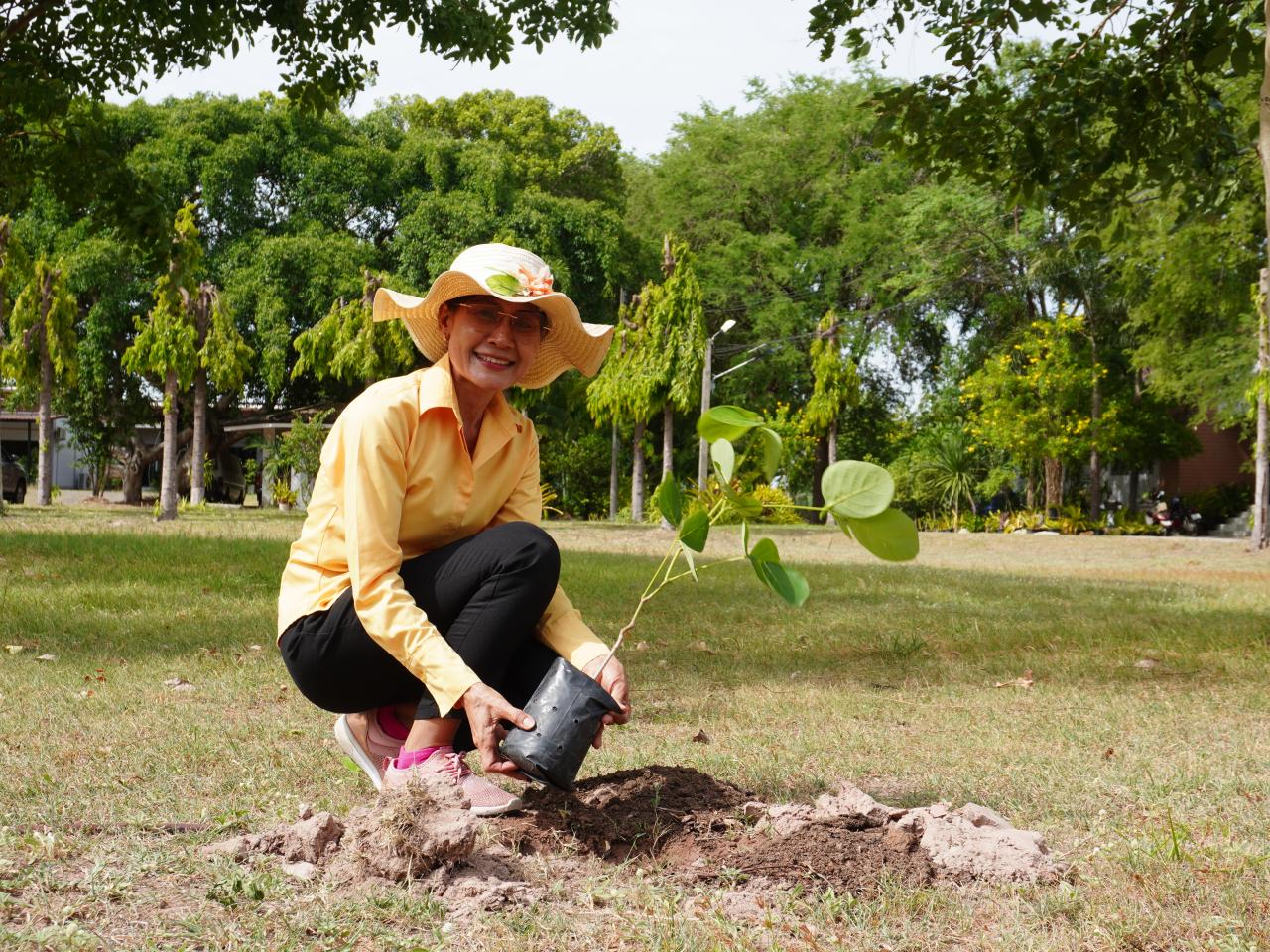 ภาพประกอบที่ 3