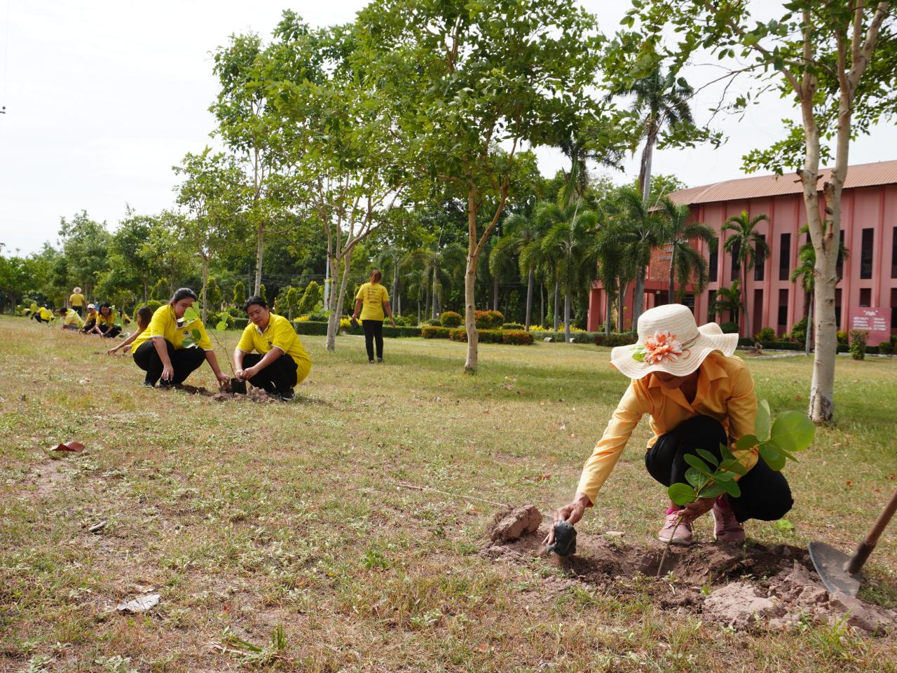 ภาพประกอบที่ 2