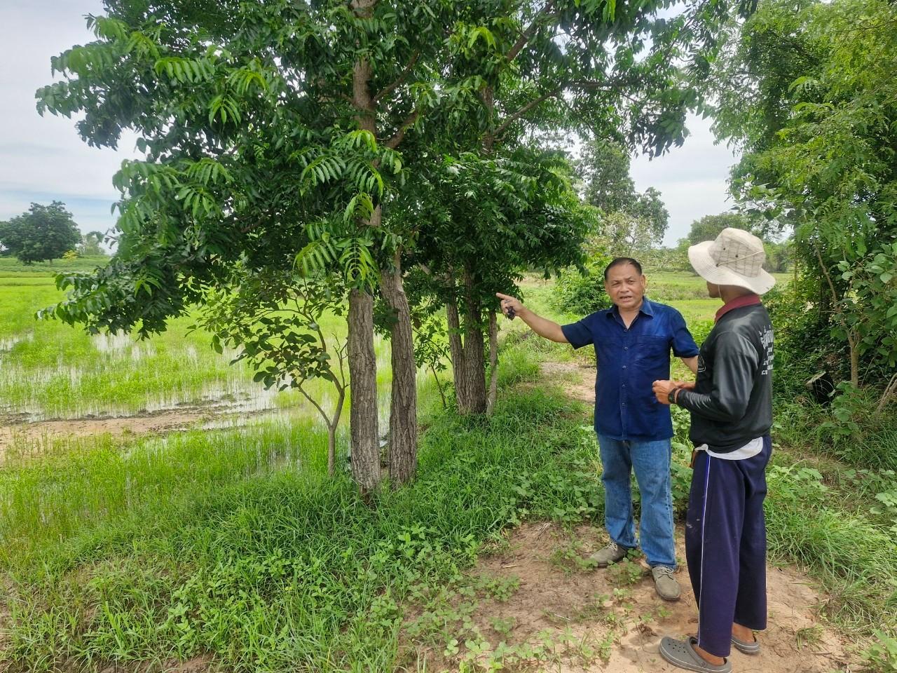 ภาพประกอบที่ 11