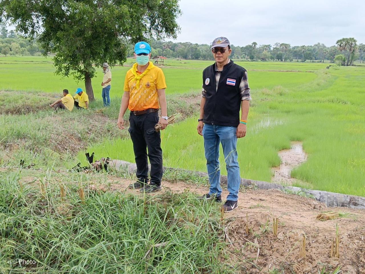 ภาพประกอบที่ 2