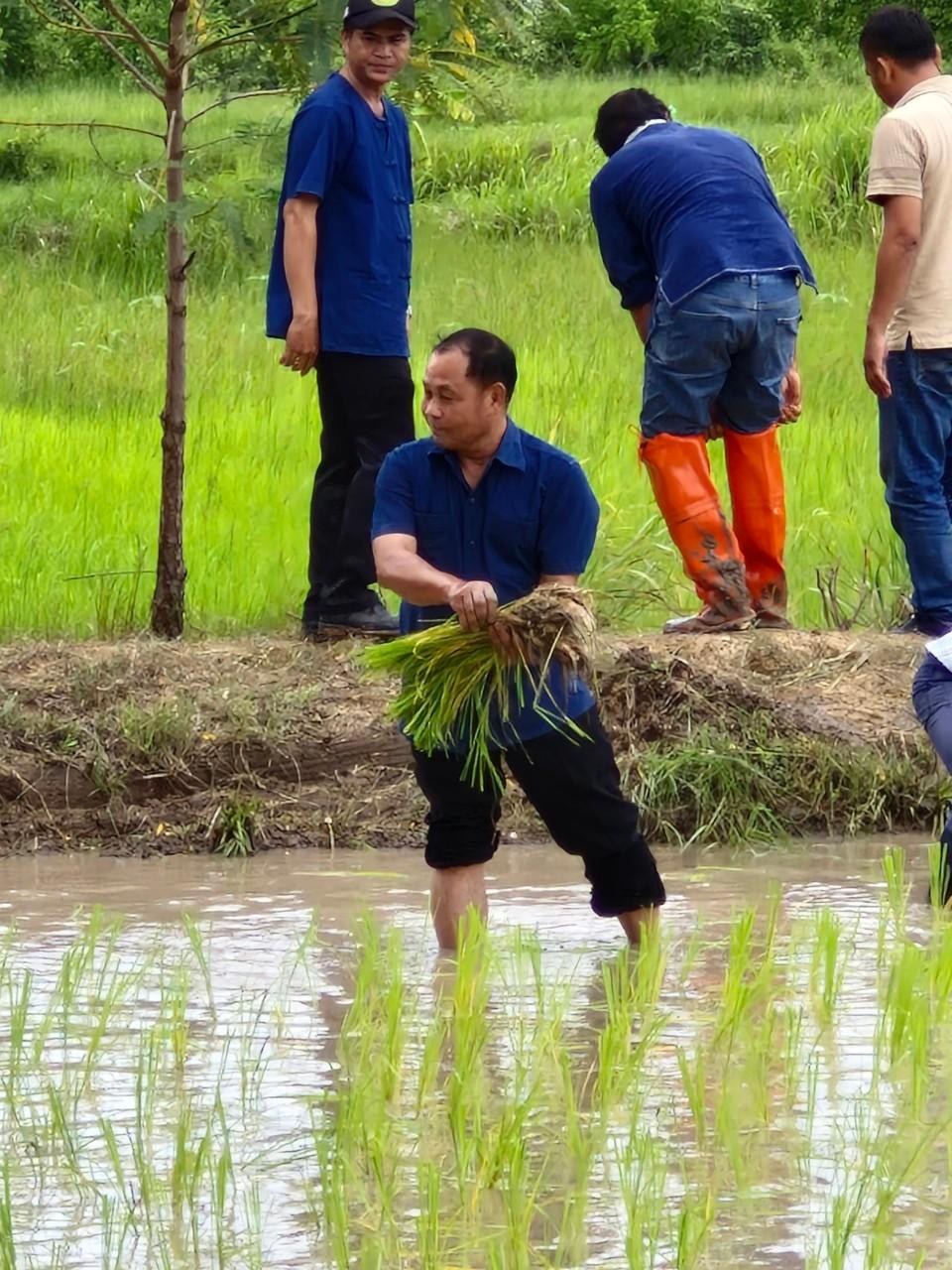 ภาพประกอบที่ 12