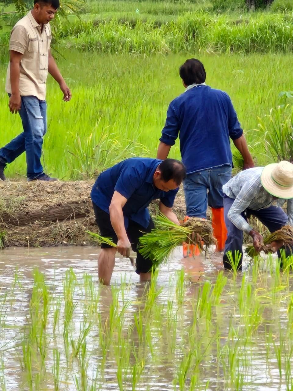 ภาพประกอบที่ 13