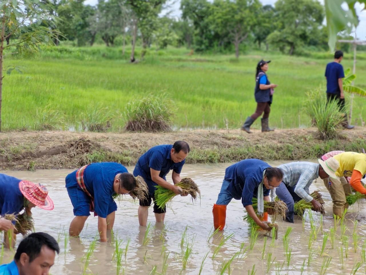 ภาพประกอบที่ 16