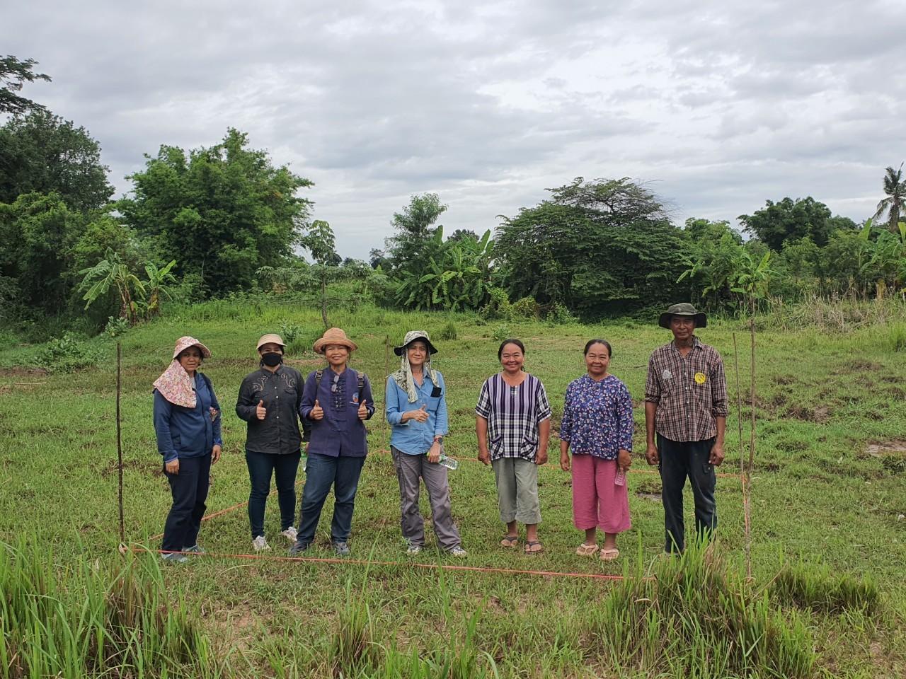 ภาพประกอบที่ 3