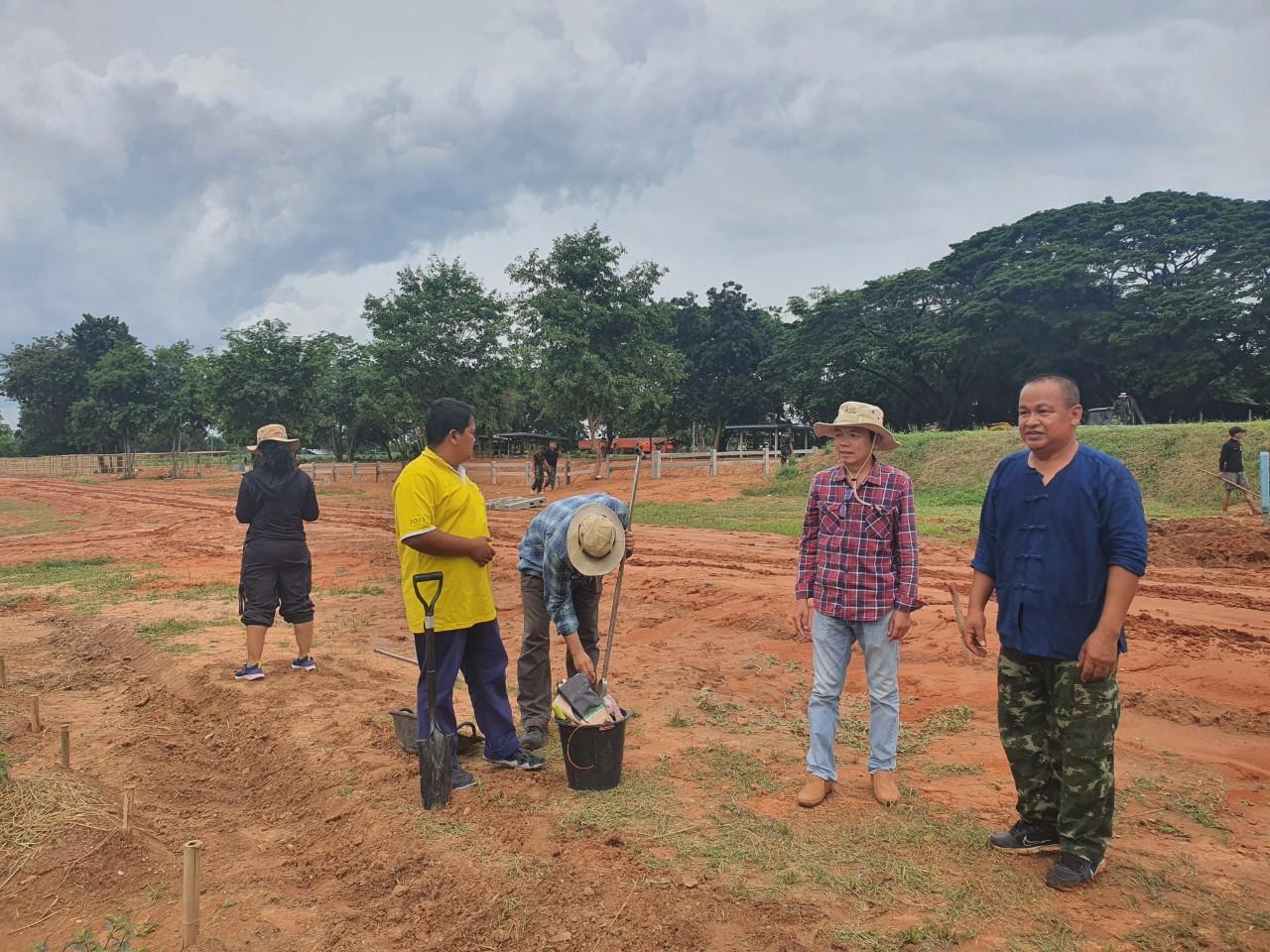 ภาพประกอบที่ 2