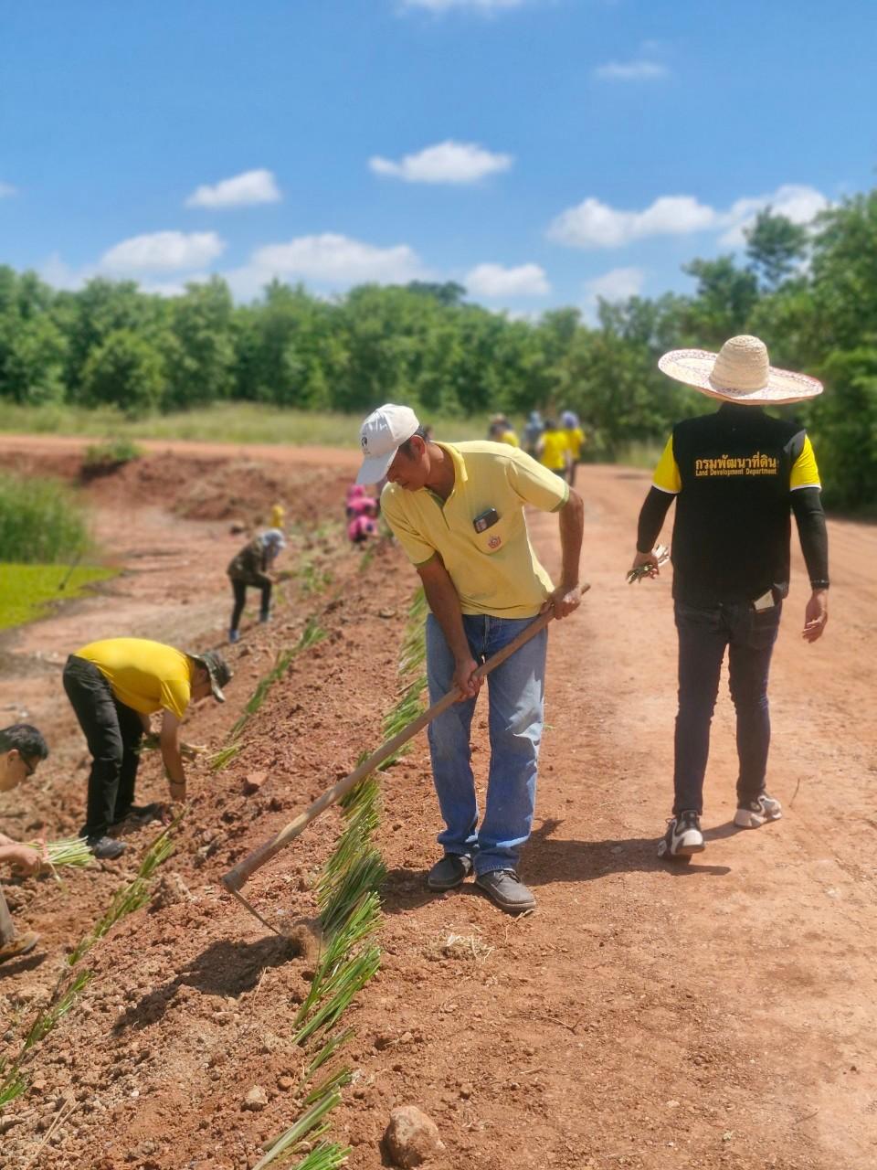 ภาพประกอบที่ 20