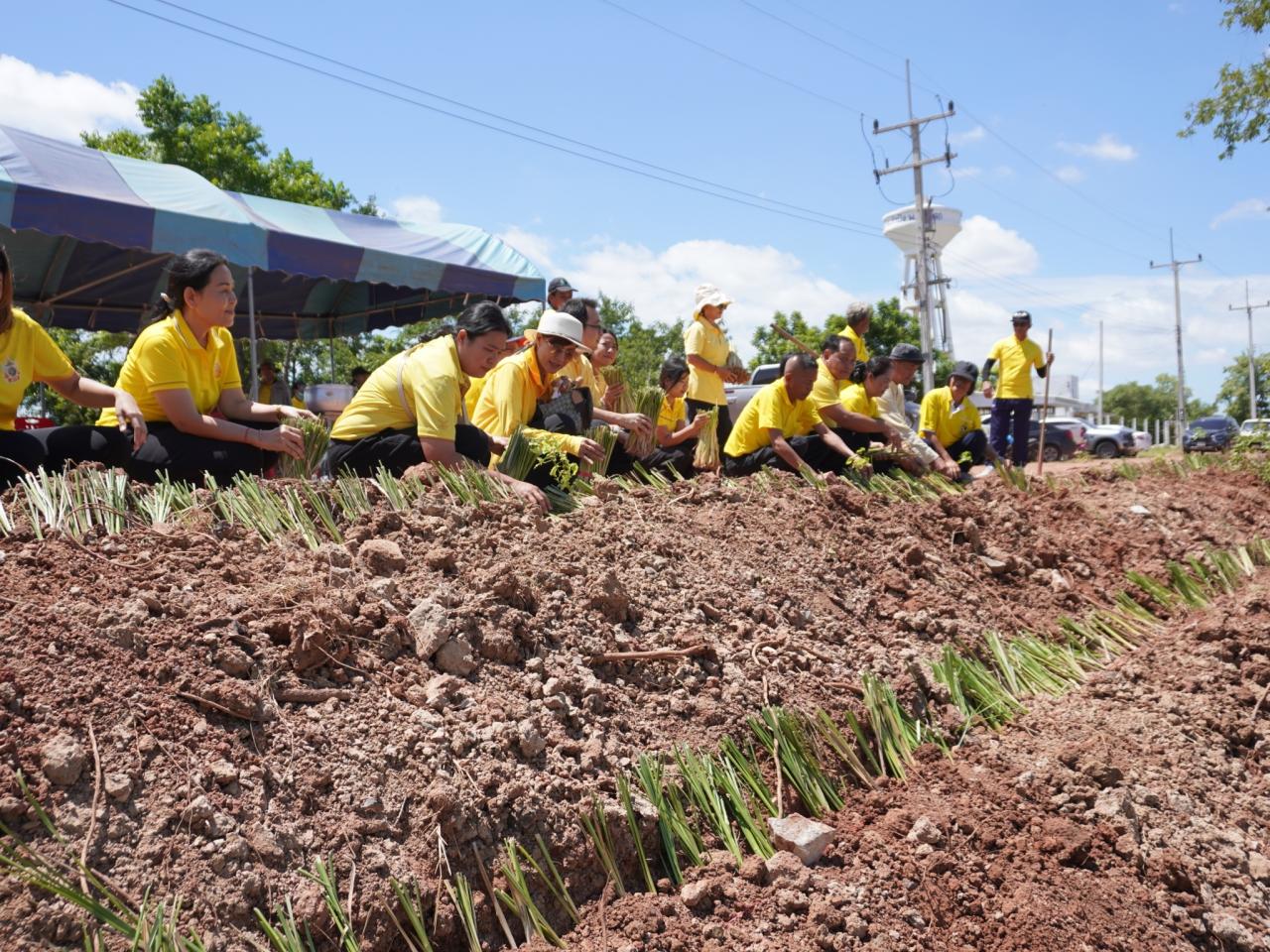 ภาพประกอบที่ 23