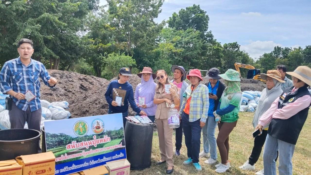 ภาพประกอบที่ 12