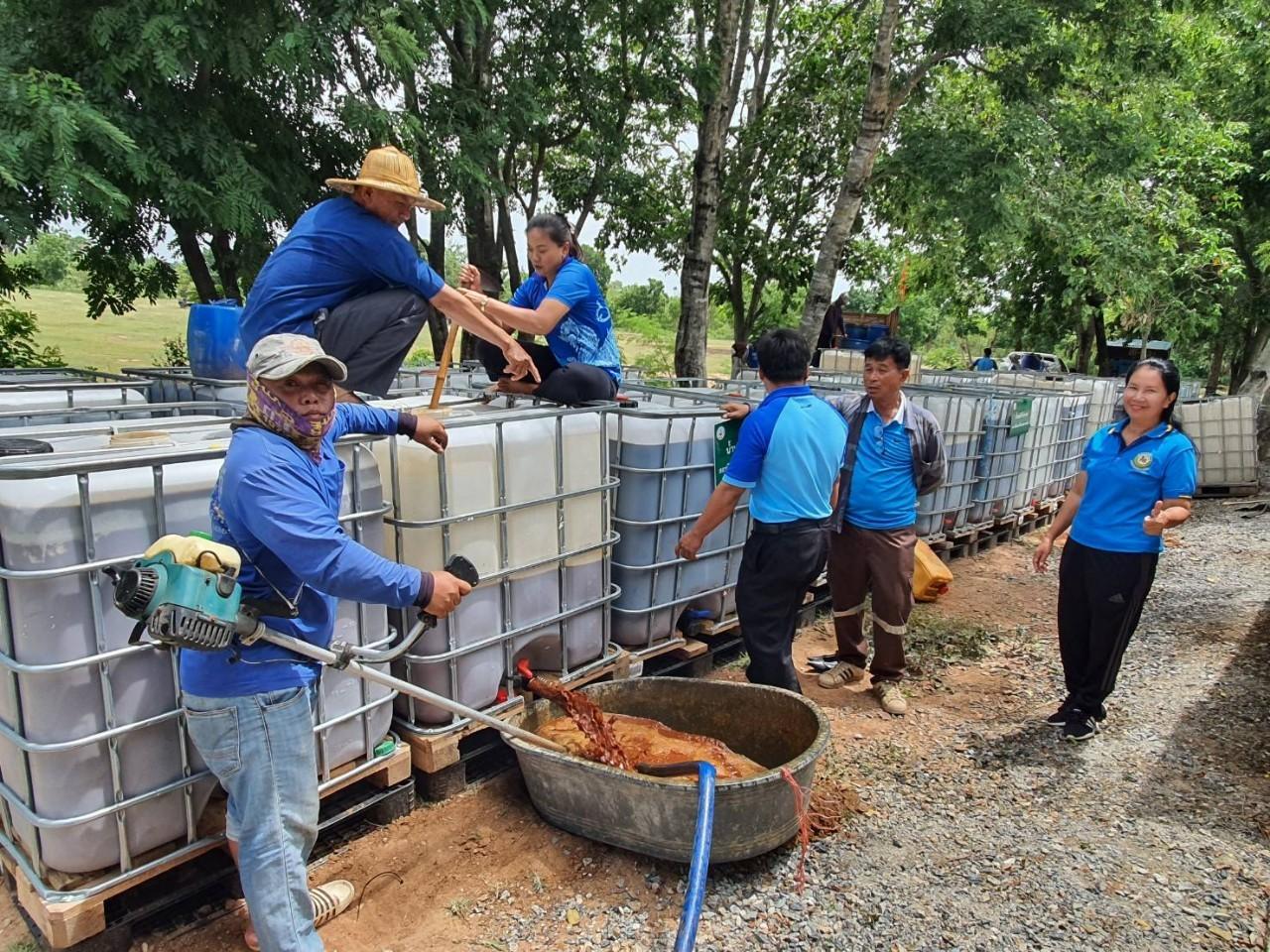 ภาพประกอบที่ 11