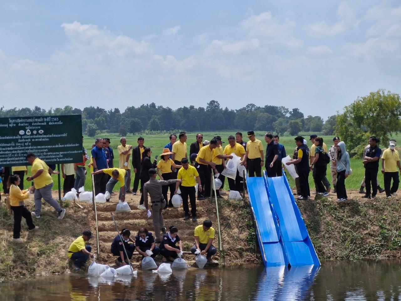 ภาพประกอบที่ 6