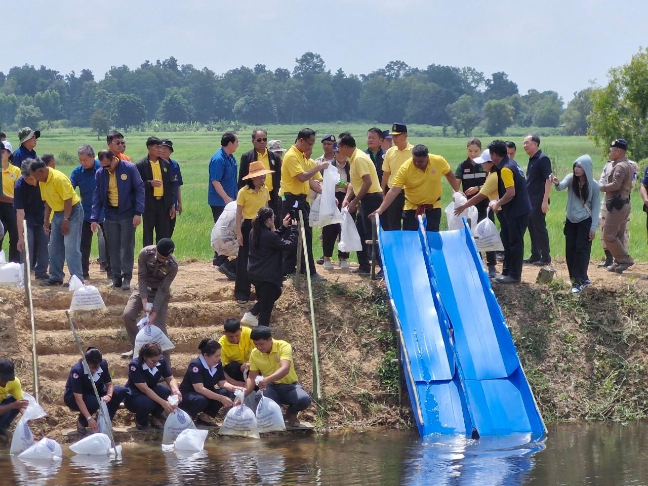 ภาพประกอบที่ 7