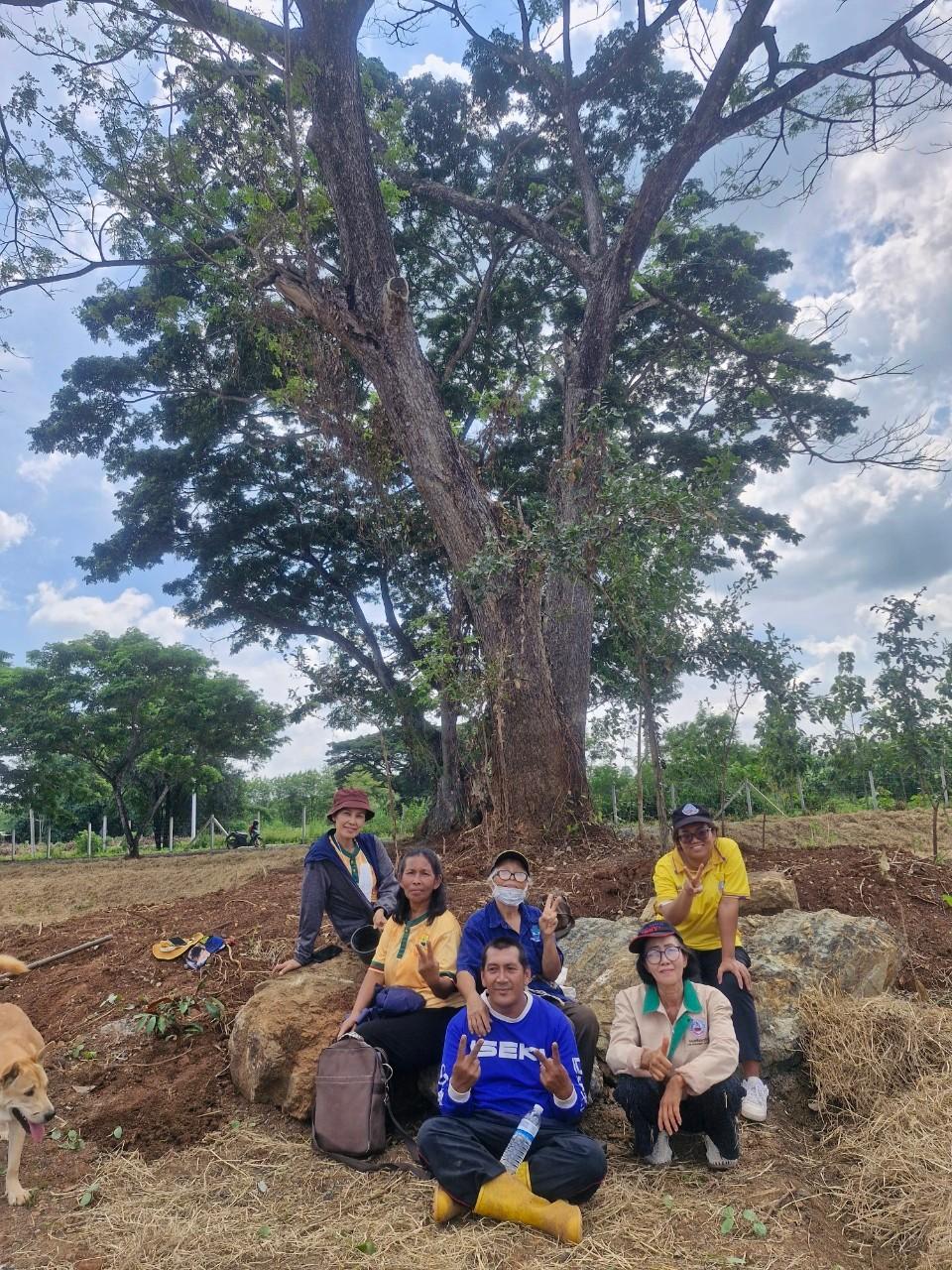 ภาพประกอบที่ 2