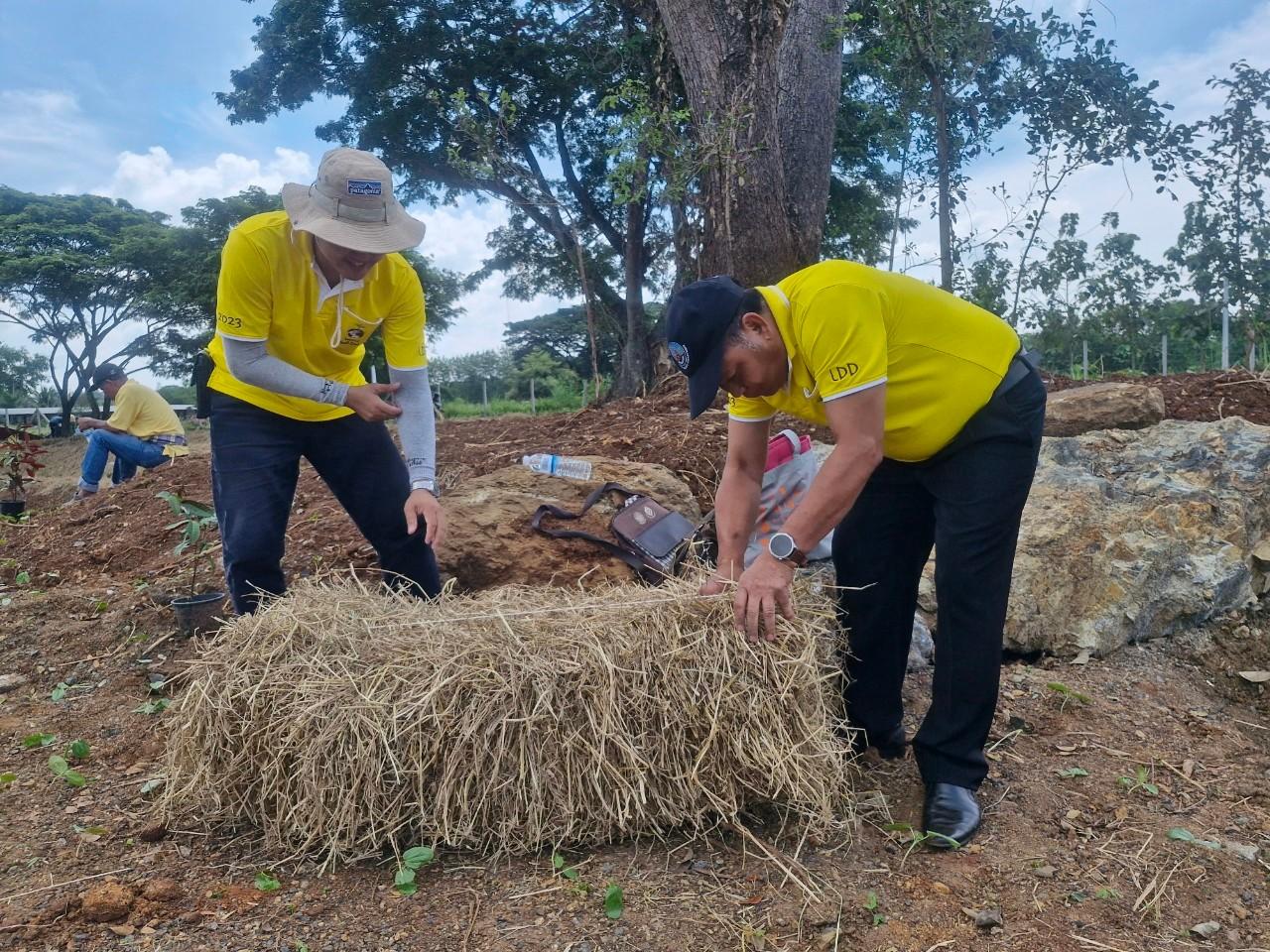 ภาพประกอบที่ 17