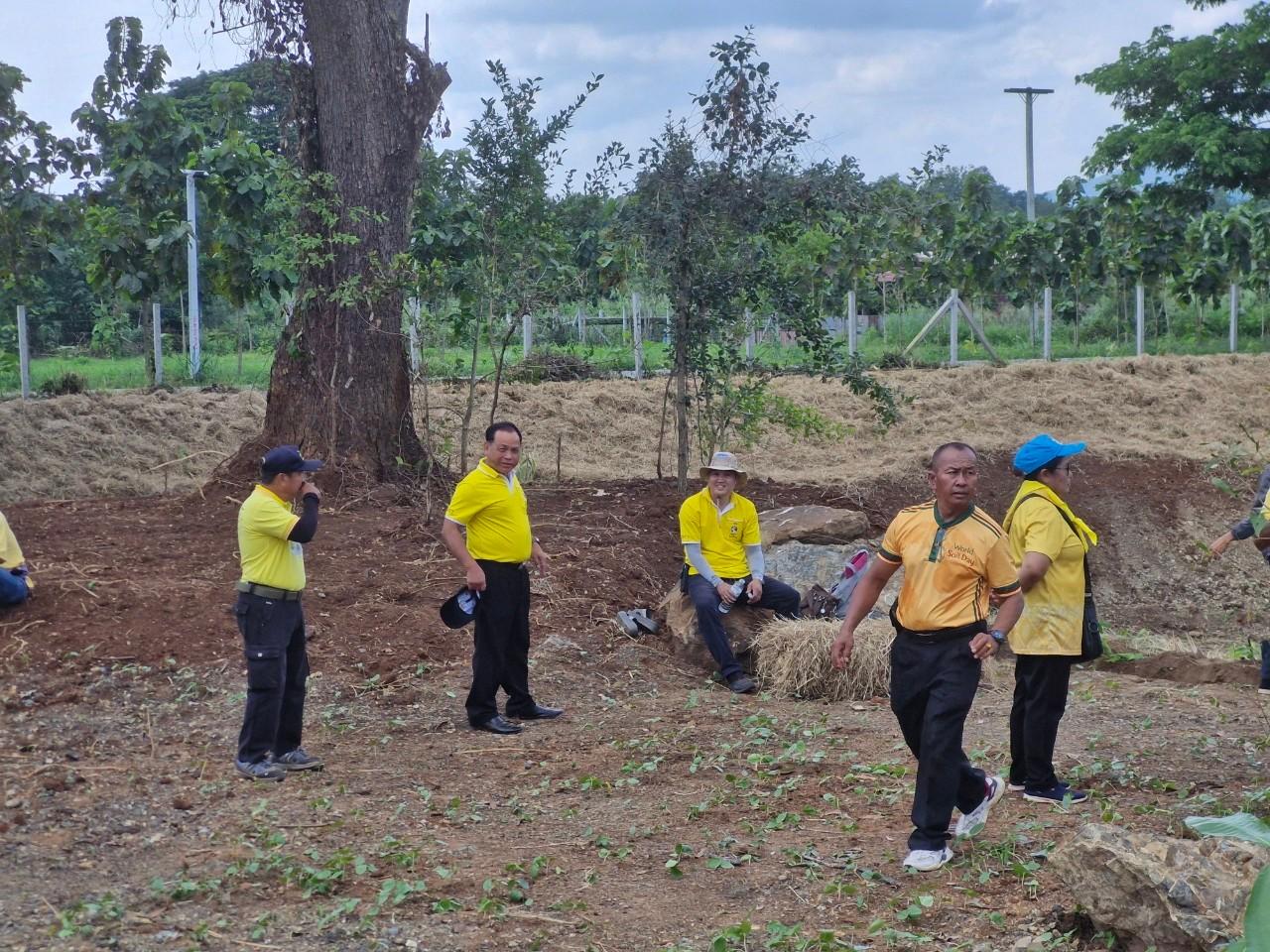 ภาพประกอบที่ 20