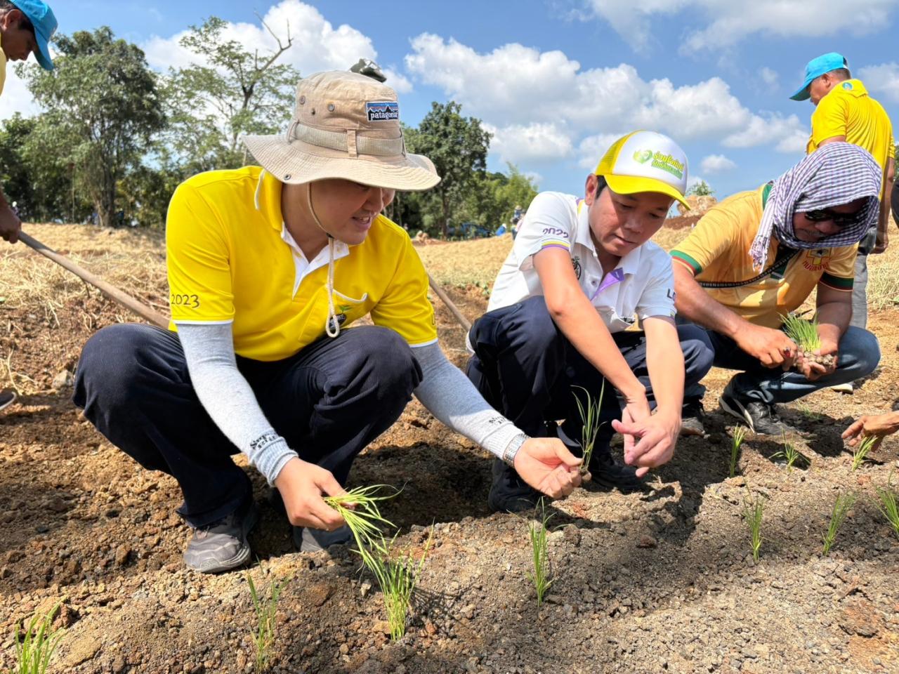 ภาพประกอบที่ 32