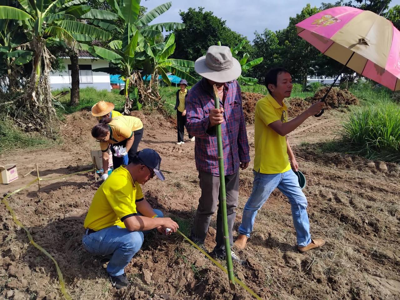 ภาพประกอบที่ 2