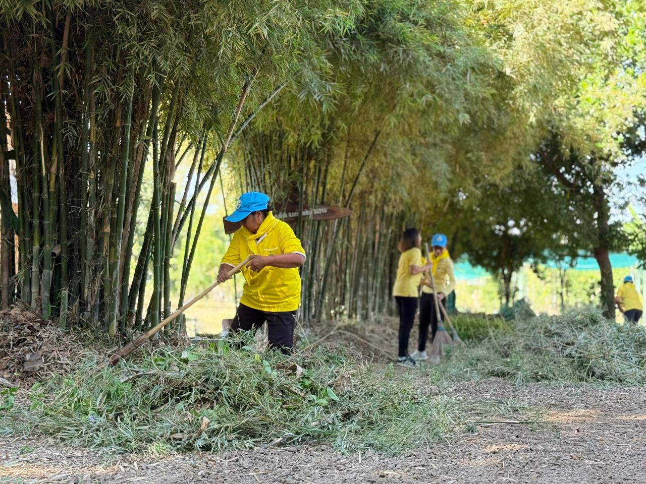 ภาพประกอบที่ 21