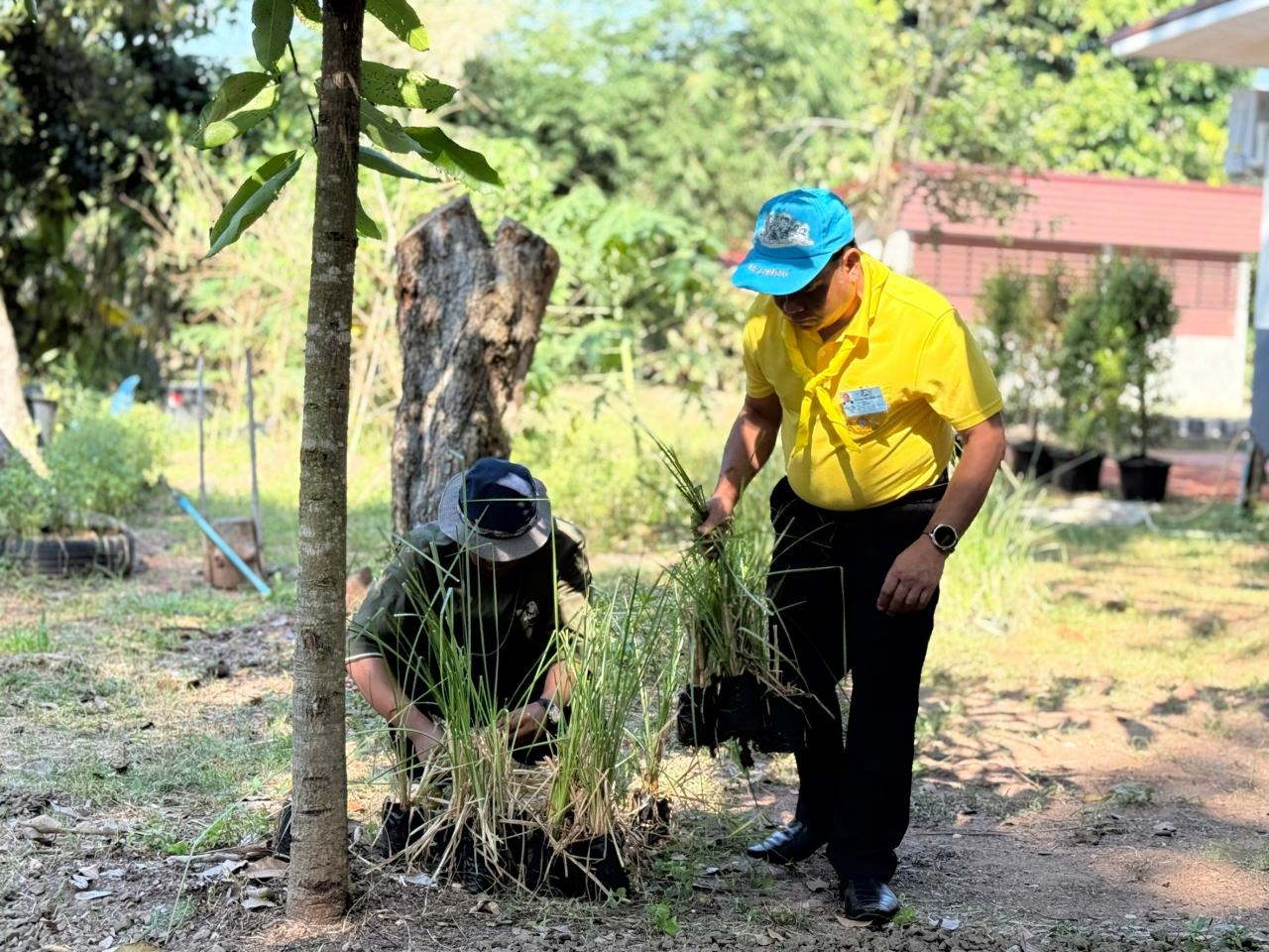 ภาพประกอบที่ 25