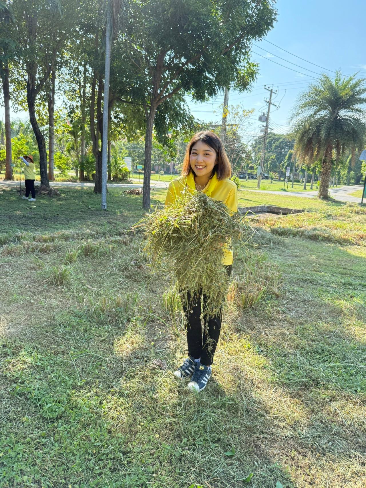 ภาพประกอบที่ 10