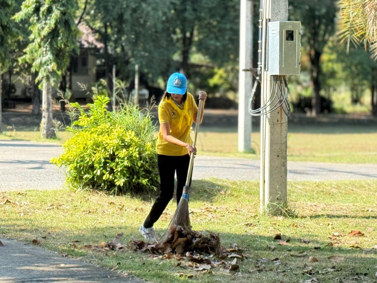 ภาพประกอบที่ 17