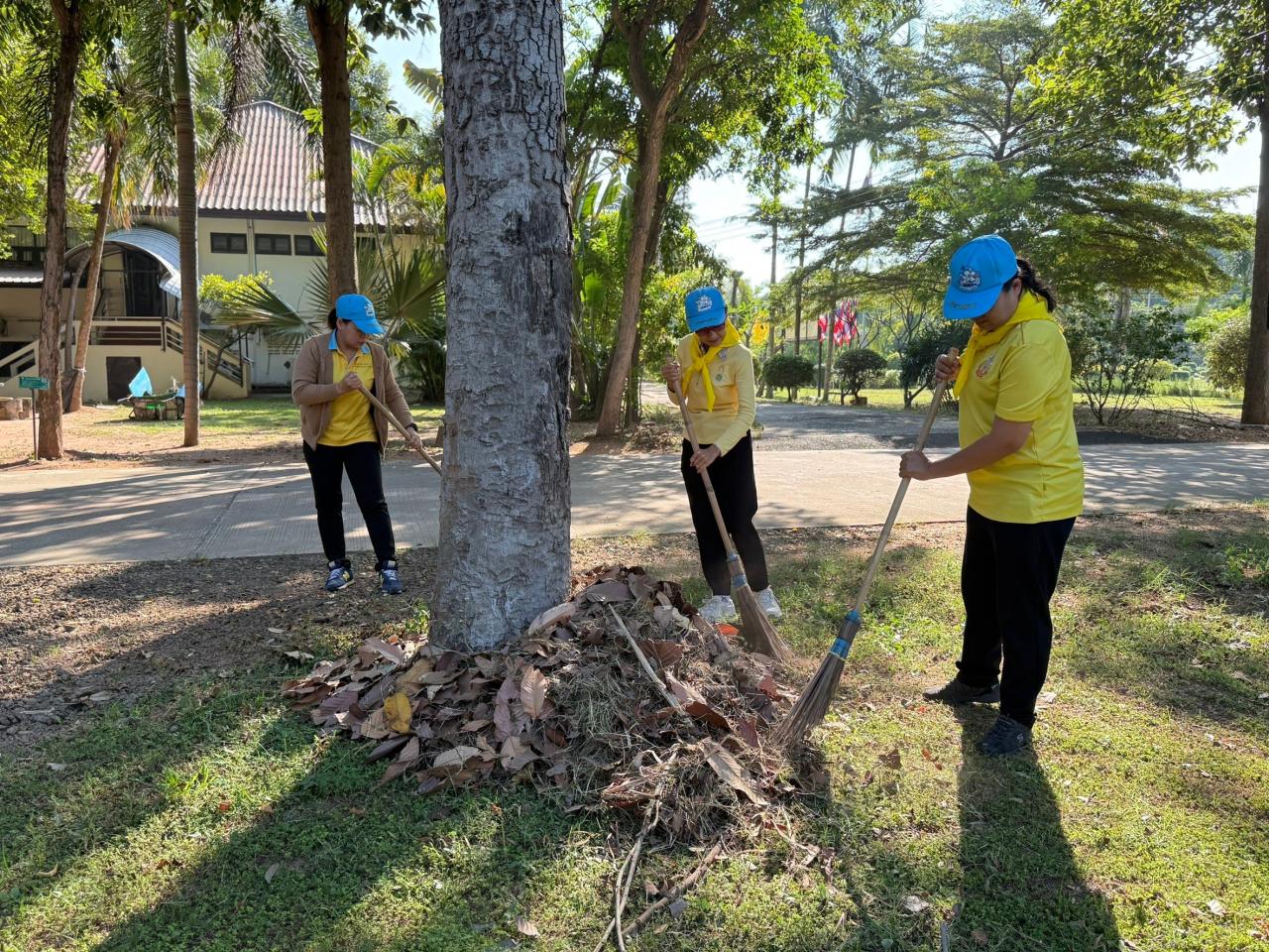 ภาพประกอบที่ 19