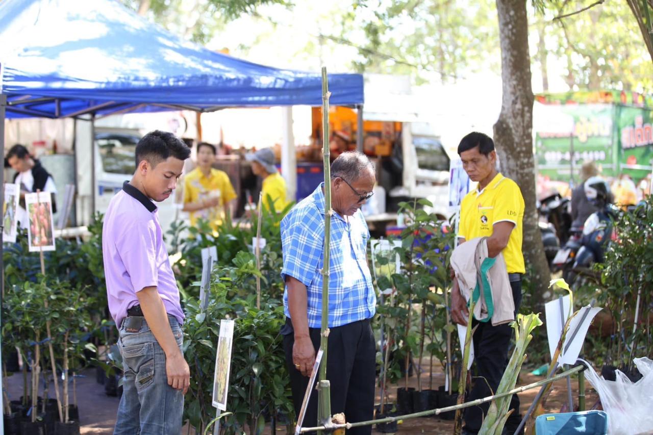 ภาพประกอบที่ 4