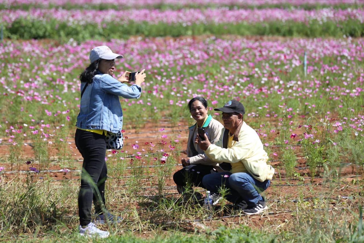 ภาพประกอบที่ 25