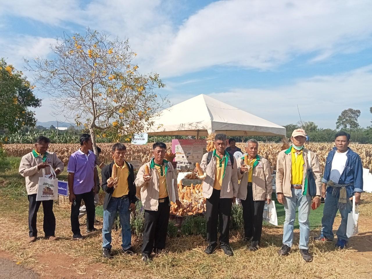 ภาพประกอบที่ 8