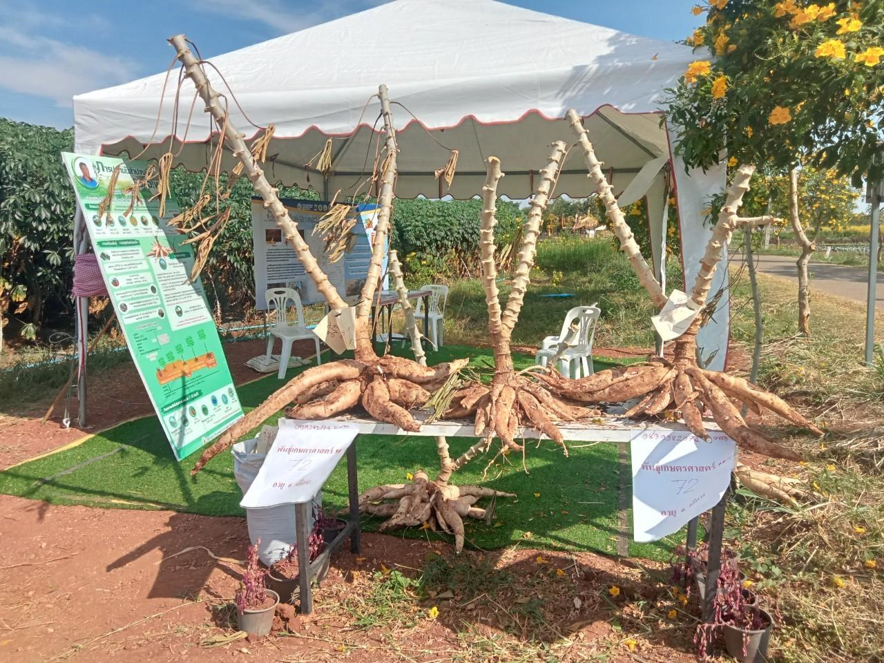 ภาพประกอบที่ 9