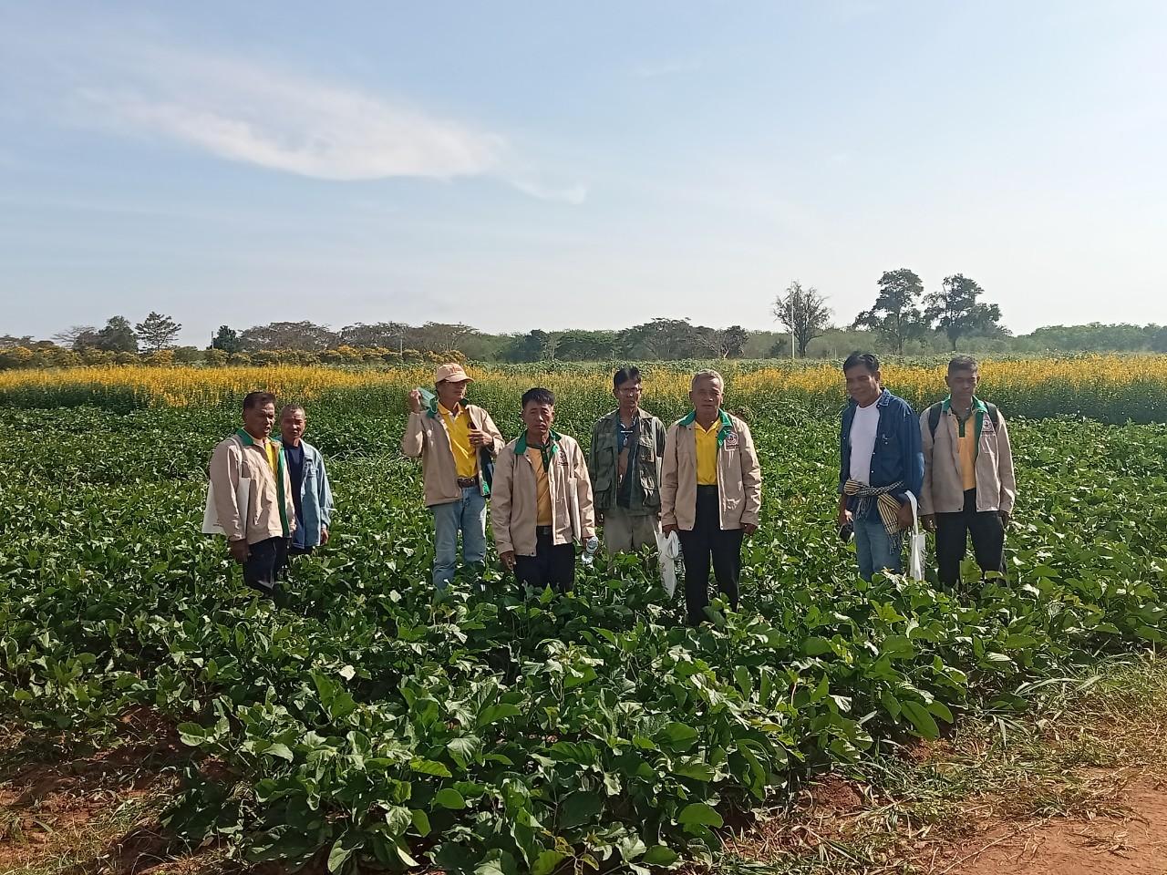 ภาพประกอบที่ 10