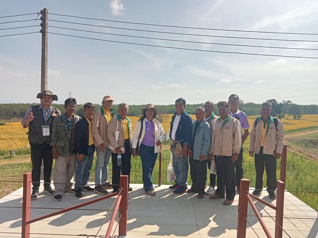 ภาพประกอบที่ 12