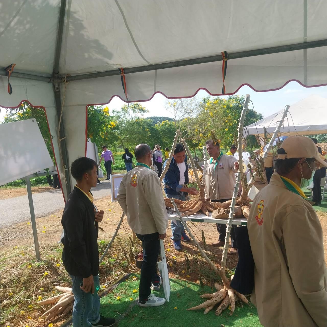 ภาพประกอบที่ 27